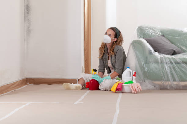 Reliable Mold Remediation contractor in Fanwood, NJ by WQB Mold Removal