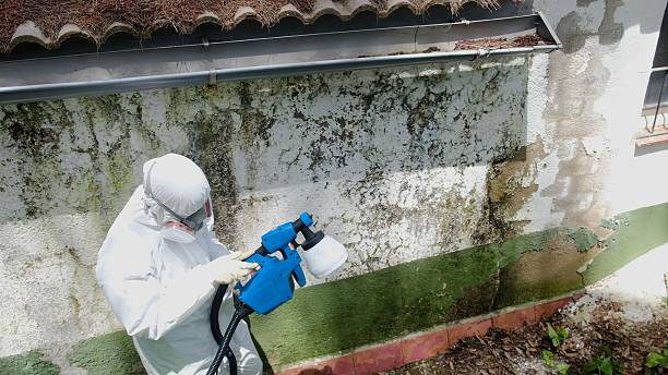Top rated local Mold Remediation specialists in Fanwood, NJ